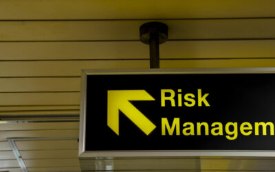 THE RISK BUSINESS